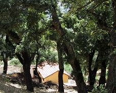 Ain Draham, Tunisia