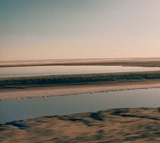 Chott el-Jerid