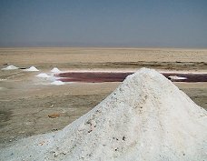 Chott el-Jerid