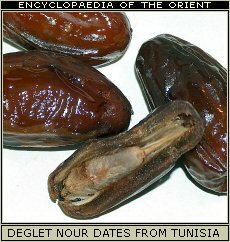 Deglet Nour dates from Tunisia