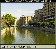 Fayoum, Egypt.