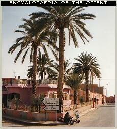 The palm groves of Figuig, Morocco. In the distant, the border passage into Algeria, if it is open.