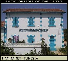 Fashionable houses squeezed between the medina and the sea. Hammamet, Tunisia.
