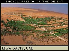 Liwa Oasis, United Arab Emirates.