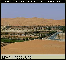 Liwa Oasis, United Arab Emirates.