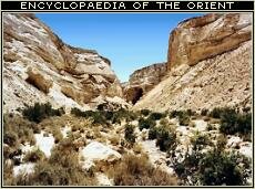 Negev Desert, Israel.