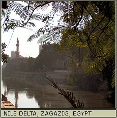 Nile Delta, Egypt.