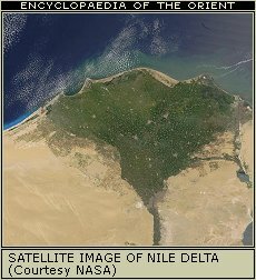 The city of Zagazig in the Nile Delta, Egypt.