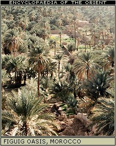 Figuig Oasis, Morocco