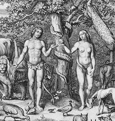Artistic representation of the original Paradise by Pierre Lombart, from Ogilby’s 1660 Bible.