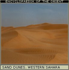 Sahara: The Grand Erg Occidental of Algeria.