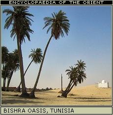 Sahara: Bishra Oasis in Tunisia.