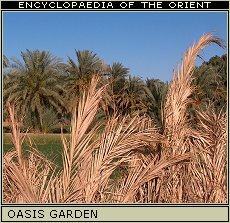Sahara: Garden in Paris Oasis in Egypt.