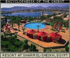 Shark's Bay, Sharm el-Sheikh, Egypt.