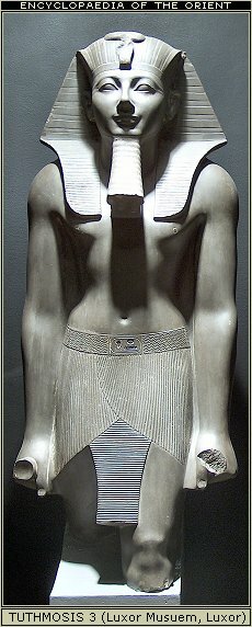 Sarcophagus of Tuthmosis 3. Valley of the Kings, Luxor, Egypt.