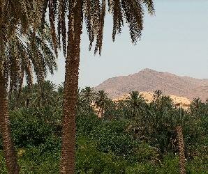 Gafsa, Tunisia