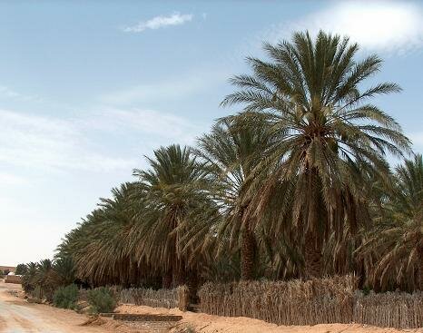 Hazoua, Tunisia