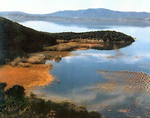 Ichkeul National Park, Tunisia