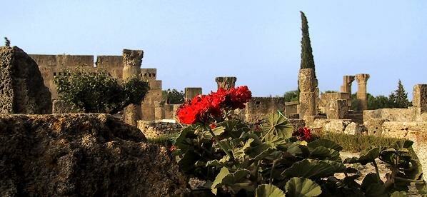 Utica, Tunisia