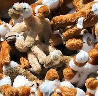 Cuddly toy camels